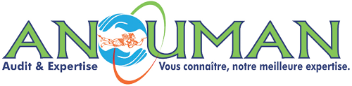 ANOUMAN Audit et Expertise
