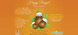 Happy Pongal ! (Fête de la récolte) 14/01/2017